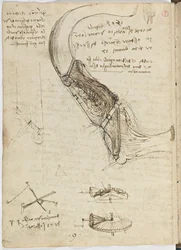 Code de vol des oiseaux, c. 1505-06, manuscrit sur papier, cc. 18, feuille 18 verso